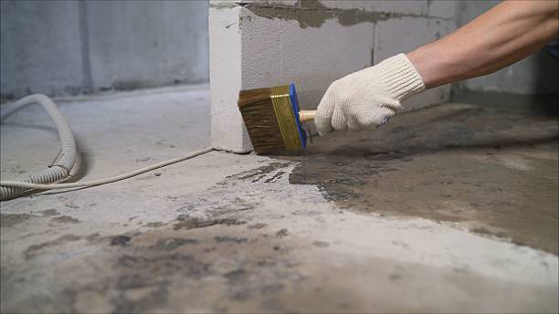 SJ Waterproofing Pros Waterproofing coverage map for Boggstown, IN and surrounding area